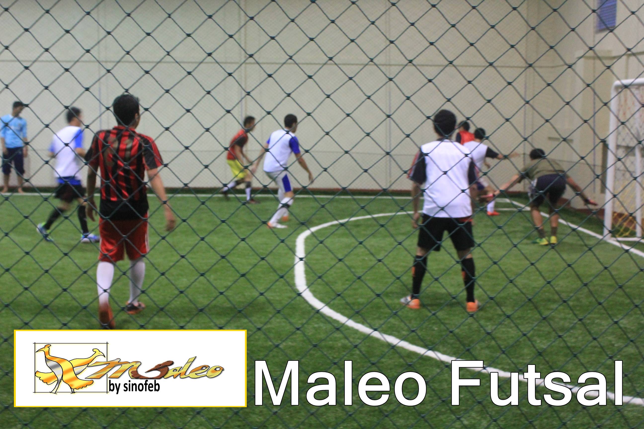 Maleo Futsal Tempat Latihan Futsal Dengan Rumput Asli Belgia Di